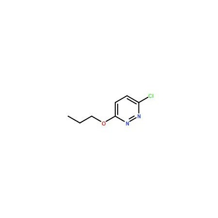 Ak Scientific 3-Chloro-6-Propyloxypyridazine (5g), CAS 5788-60-3 X3921-5g