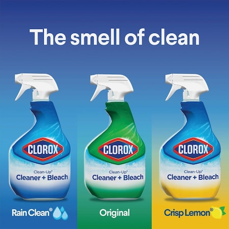 Clorox Clean-Up 32 Oz. Rain Clean All-Purpose Cleaner + Bleach 30197