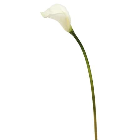 Dare2Decor 26 in. Calla Lily  White DA1639427
