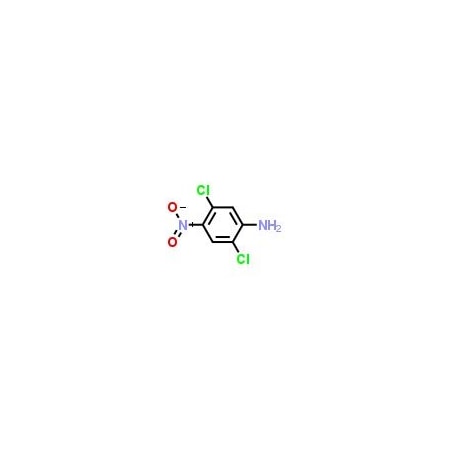 Ak Scientific 2, 5-Dichloro-4-nitroaniline (1g), CAS 6627-34-5 F973-1g