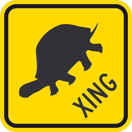 Lyle Turtle Xing (W/Graphic), 12x12, Diamond Grade, Yellow G-1944-DG_12x12