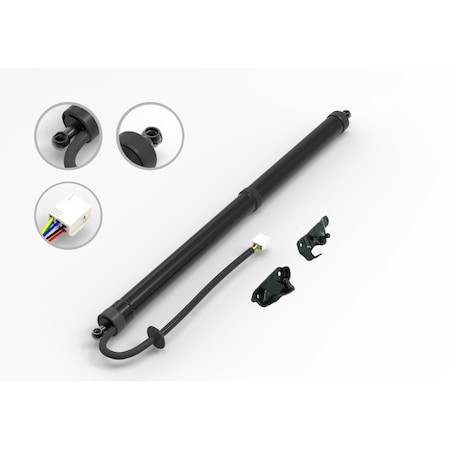 Fcs Struts Liftgate Lift Support E89028R