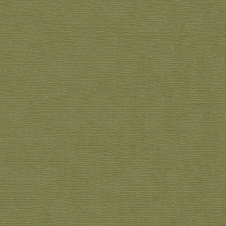 Abbeyshea Apple, Woven Plain, 1 Yard L, 55 in W DEVIN205