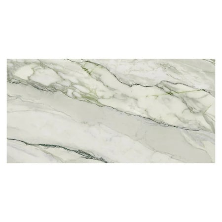 Apollo Tile 24x48 in. Matte Soft White with Green Vein Porcelain Wall and Floor Tile 15.42 sq ft/case, 2PK IMP88ARGRMA2448