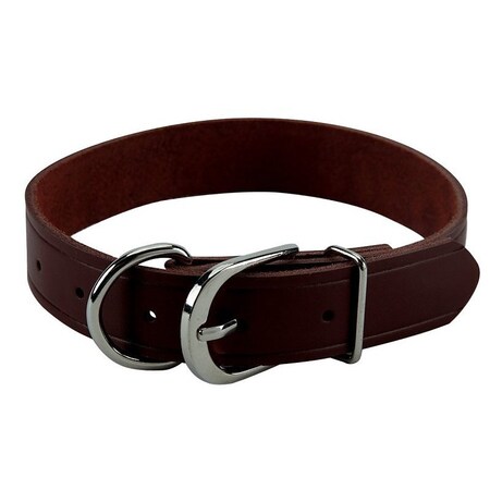 Boss Pet Collars 19X1 in Leather Hunt 30019