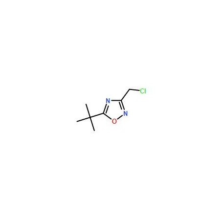 Ak Scientific 5-(tert-Butyl)-3-(chloromethyl)-1, 2, 4-oxadiazole (250mg), CAS 175205-41-1 9133AA-250mg