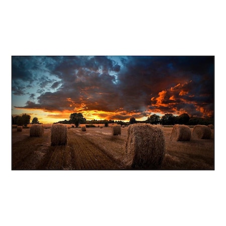 Shockwave 46 in. LFD Video Wall Narrow Bezel Commercial Display SH2938177