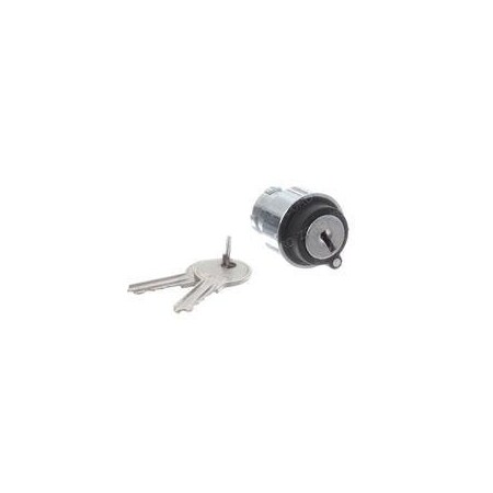 Skyjack REPLACEMENT KEYSWITCHOFF-ON-2 POS 102754