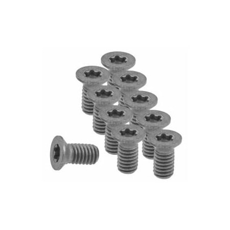 Garant Set of Insert Screws, 10 Pieces 219983