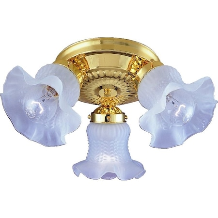 Boston Harbor Ceiling Light Fixture, 0.5 A, 120 V, 60 W, 3-Lamp, A19 or CFL Lamp, Metal Fixture F6BB03-22013L