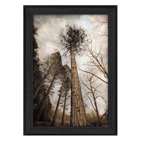 Homeroots Skys the Limit Black Framed Print Wall Art 405550