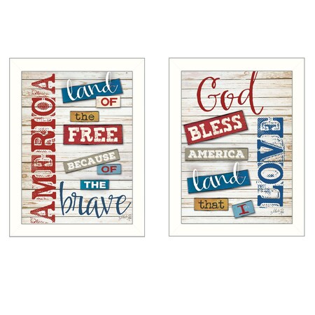 Homeroots Set Of Two American 3 White Framed Print Wall Art, 2PK 405735
