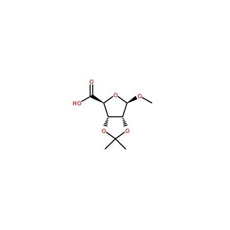 Ak Scientific 2, 3-O-Isopropylidene-1-O-methyl-D-ribosic acid (1g), CAS 54622-95-6 Y1738-1g