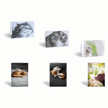 Jorgensen Laboratories Sympathy Cards, Combination Pack, 12PK J1483S