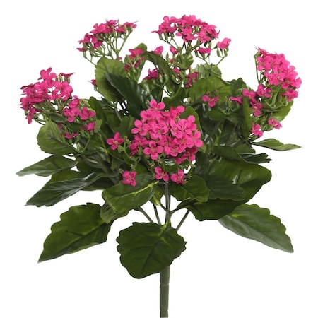 Dare2Decor 17.25 in. Kalanchoe Bush, Hot Pink DA1236091