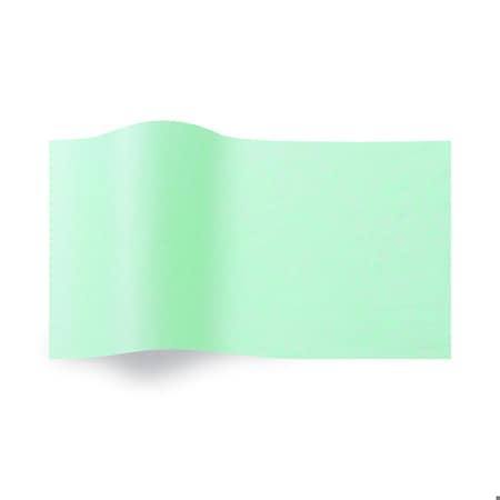 Seaman Paper 20X30 Cool Mint Paper, 480PK 20309200