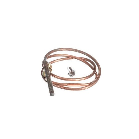 A.O. Smith Pilot Assemblies for Gas Water Heaters 100108267