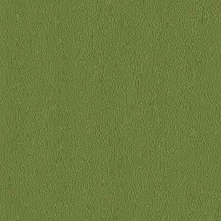 Abbeyshea Sprig, Polyurethane Coated Faux Leather Fabric, 9 in L, 9 in W MIAMI205M9X9