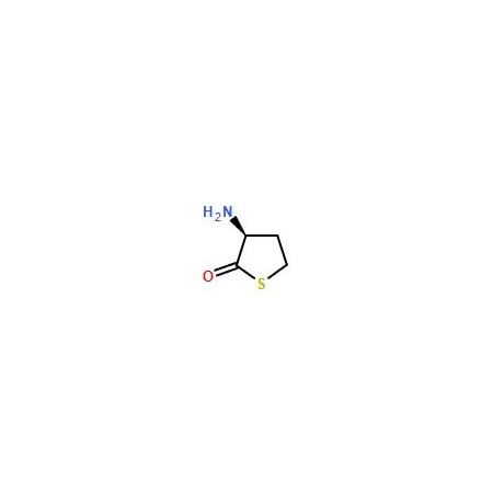 Ak Scientific L-Homocysteine thiolactone hydrochloride (5g), CAS 31828-68-9 S502-5g