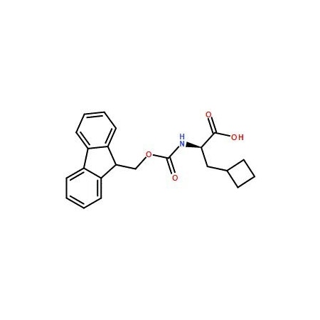Ak Scientific Fmoc-D-β-Cyclobutyl-Ala-OH (1g), CAS 478183-63-0 6803AH-1g