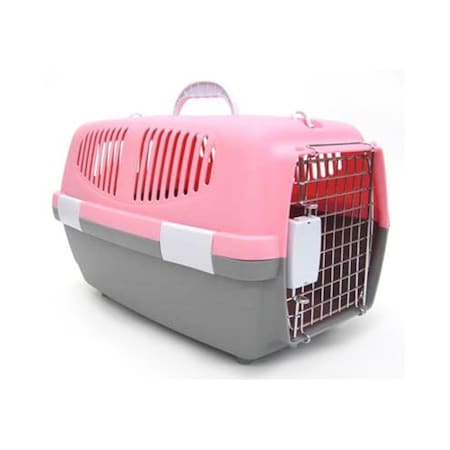 Peticare Small Plastic Carrier in Pink PE2690761