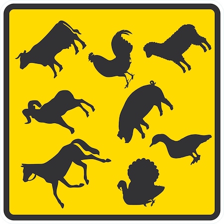Lyle Various Animal Symbols, 24x24, Engineer Grade, Yellow G-12768-EG_24x24