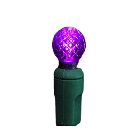Omg Purple G12 Raspberry LED Lights OM2644402