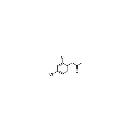 Ak Scientific 2, 4-Dichlorophenylacetone (1g), CAS 93457-07-9 N742-1g