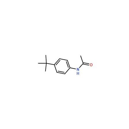Ak Scientific N-(4-(tert-Butyl)phenyl)acetamide (1g), CAS 20330-45-4 0413AB-1g
