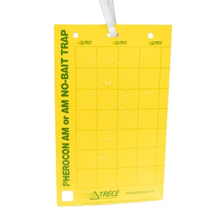 Trece Pherocon Unbaited AM Yellow Sticky Traps, PK25 3306-00 GE