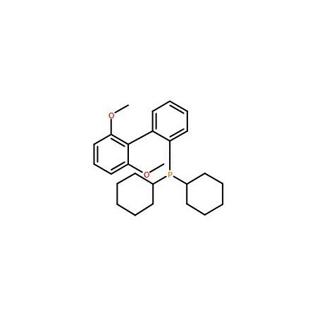 Ak Scientific SPhos (5g), CAS 657408-07-6 X4163-5g