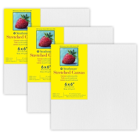 Strathmore 300 Series Traditional Stretched Canvas, 6x6 inch, 3PK P313-06