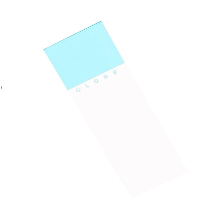Rpi Microscope Slides, Ground Edges and Safety Corners, 25x 75mm, Aqua Frosted, 144PK 195610-144A