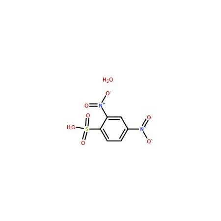 Ak Scientific 2, 4-Dinitrobenzenesulfonic acid hydrate (5g), CAS 698999-22-3 7610AF-5g