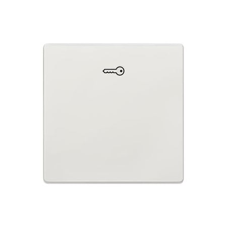 Siemens DELTA style, titanium white Rocker switch with door opener symbol for pushbutton 5TG7148