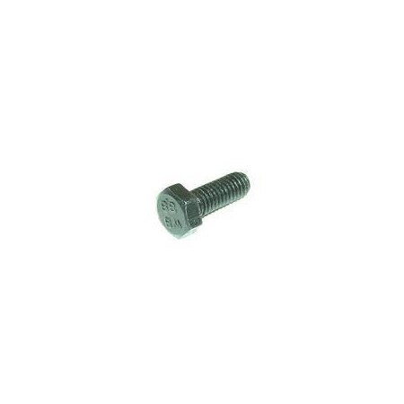 Tennant REPLACEMENT BOLT, M6-1.00 16 HE 6942