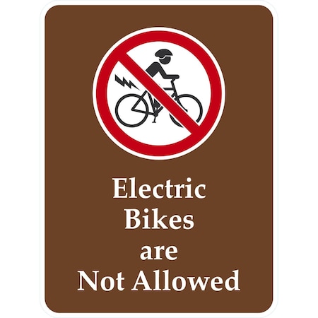 Lyle Electric Bikes Are Not Allowed, 18x24, Non-Reflective, White G-10998-NA_18x24