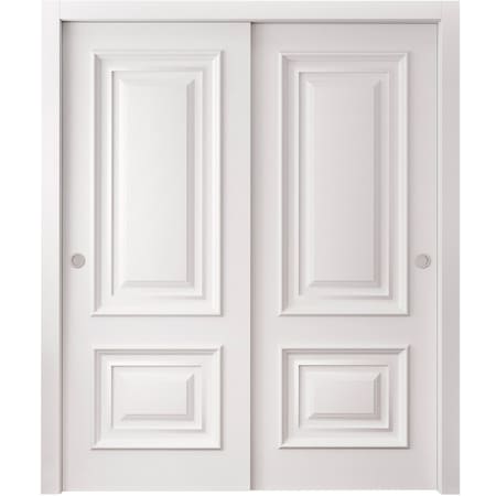Sartodoors Sliding Closet Bypass Doors 48x84 inches White Solid Core Modern Interior ROYAL9822DBD-EMAL-4884