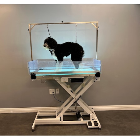 K9 Kennel Store LED Lit Master Groomer Electric Lift Table Complete Package FT-829LED-C