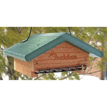Audubon/Woodlink Audubon-woodlink - Go Green Suet Bottom Feed Style- Green 3 Inch - NAGGSBF 517604