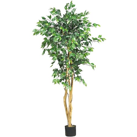 Dare2Decor 5  Ficus Silk Tree- Green DA2454545