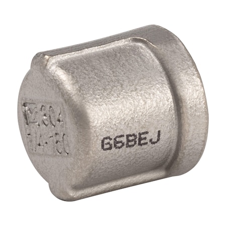 Proline Series Stainless Steel 304 1/4-in FIP Cap SF-736