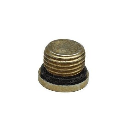 Jlg REPLACEMENT PLUG, INTERNAL HEX W/O RING 2220885