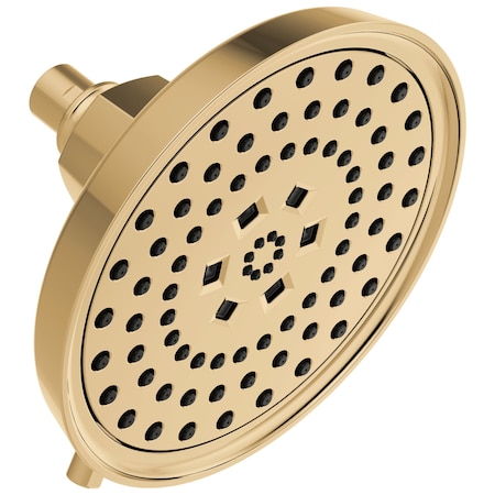 Brizo Invari: H2OKinetic Round Multi-Function Showerhead 87476-PG