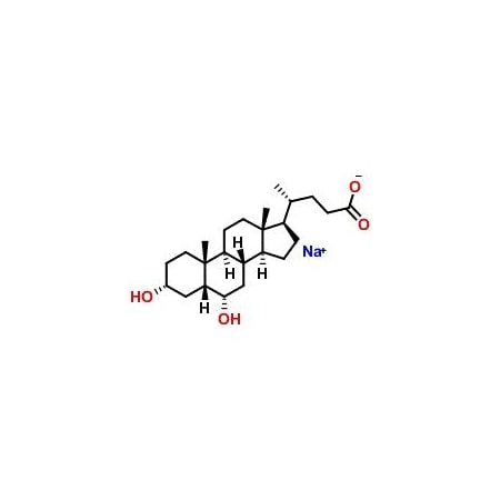 Ak Scientific Sodium hyodeoxycholate (1g), CAS 10421-49-5 H106-1g
