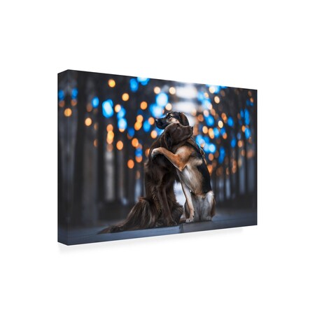 Trademark Fine Art Outdoor Canvas Art - Natalie Grosse 'Hug Your Dog' Wall Art for Patios, or Gardens GRL01180-OC2232WR