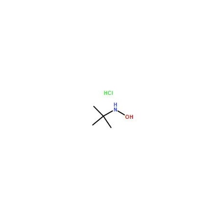 Ak Scientific N-(tert-Butyl) hydroxylamine hydrochloride (1g), CAS 57497-39-9 8471AB-1g