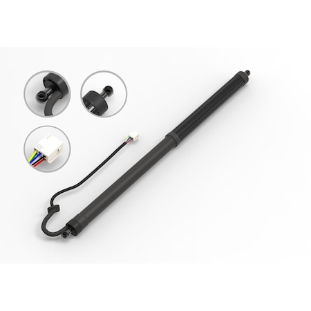 Fcs Struts Liftgate Lift Support E89011L