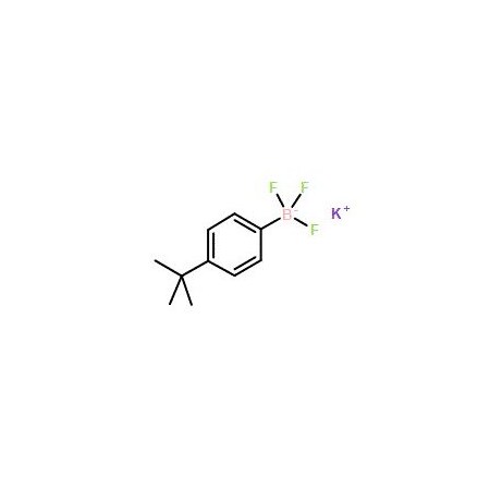 Ak Scientific Potassium (4-tert-butylphenyl)trifluoroborate (5g), CAS 423118-47-2 V5889-5g