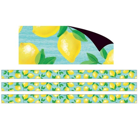 Roomfactory Lemon Zest Magnetic Border for Grade PK Plus, Multi Color, 3PK RO1736219